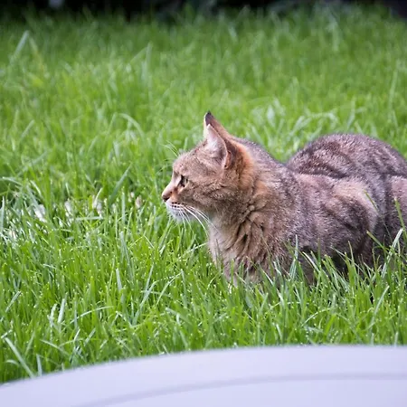 L'oasi Di Giorgia Frühstückspension 4*