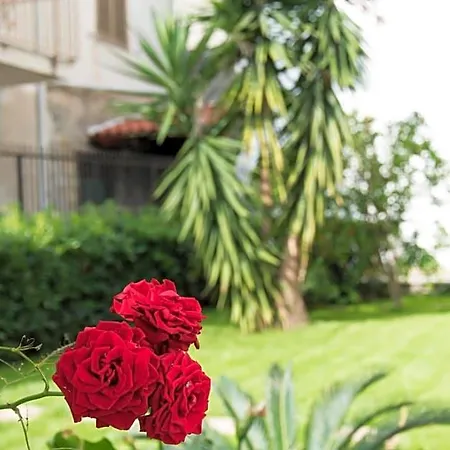 L'oasi Di Giorgia Bed & Breakfast Cittadella del Capo