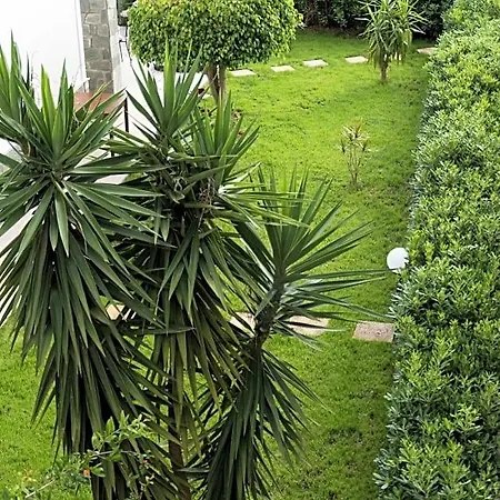 L'oasi Di Giorgia