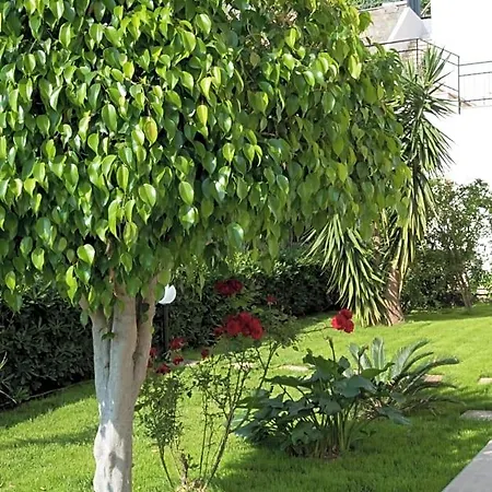 L'oasi Di Giorgia 4* Cittadella del Capo