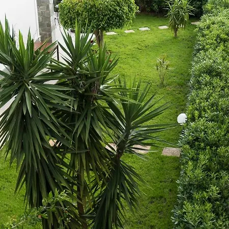 Bed & Breakfast L'oasi Di Giorgia 4*