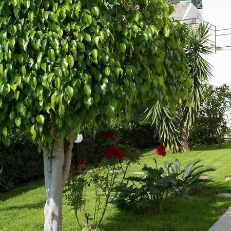 L'oasi Di Giorgia 4* Cittadella del Capo