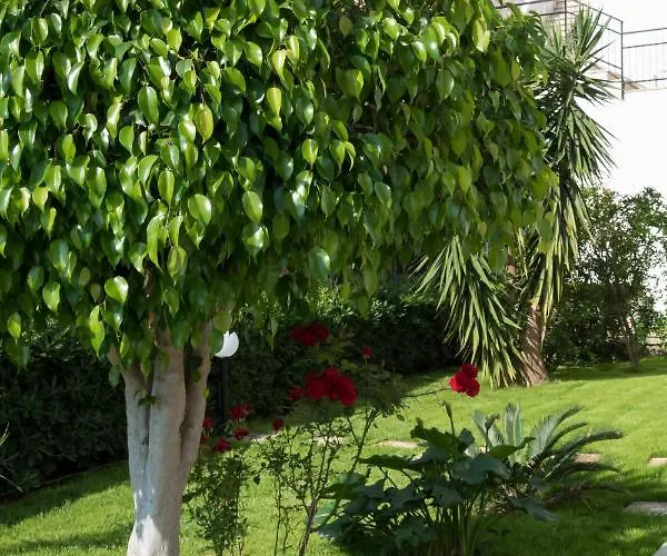 L'oasi Di Giorgia 4* Cittadella del Capo