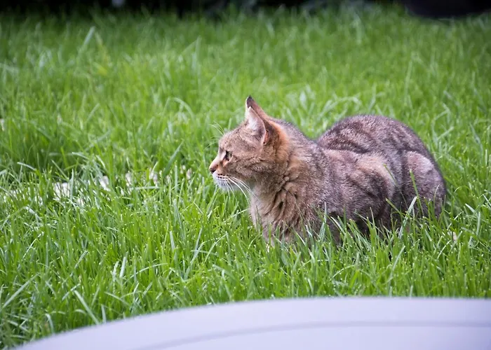 L'oasi Di Giorgia 住宿加早餐酒店 4*